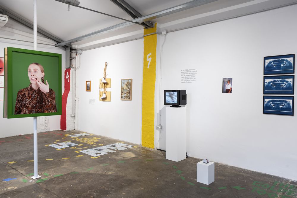 Installation view from Lucija Rosc's Six Stations And A Golden Tooth, exhibited at PhMuseum Lab in June 2025