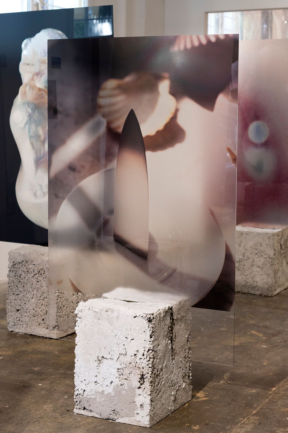 Detail from Rita Puig-Serra' Anatomy Of An Oyster, exhibited at PhMuseum Lab in June 2024