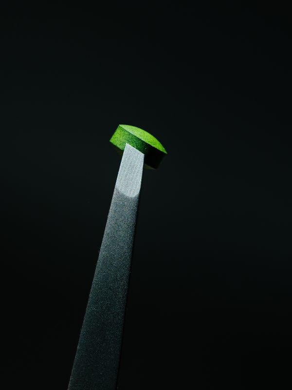 Ole Witt Introduces Us to European Future-like Spaces Researching the Production of Food