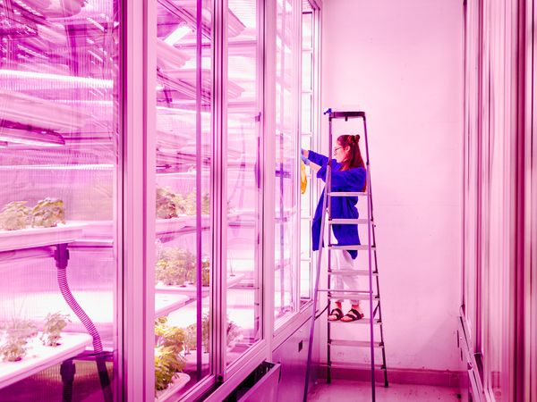 Ole Witt Introduces Us to European Future-like Spaces Researching the Production of Food
