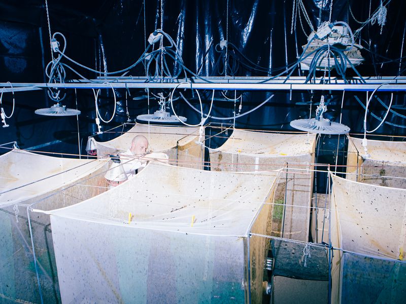 Ole Witt Introduces Us to European Future-like Spaces Researching the Production of Food