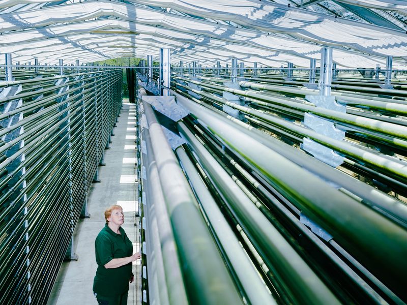 Ole Witt Introduces Us to European Future-like Spaces Researching the Production of Food
