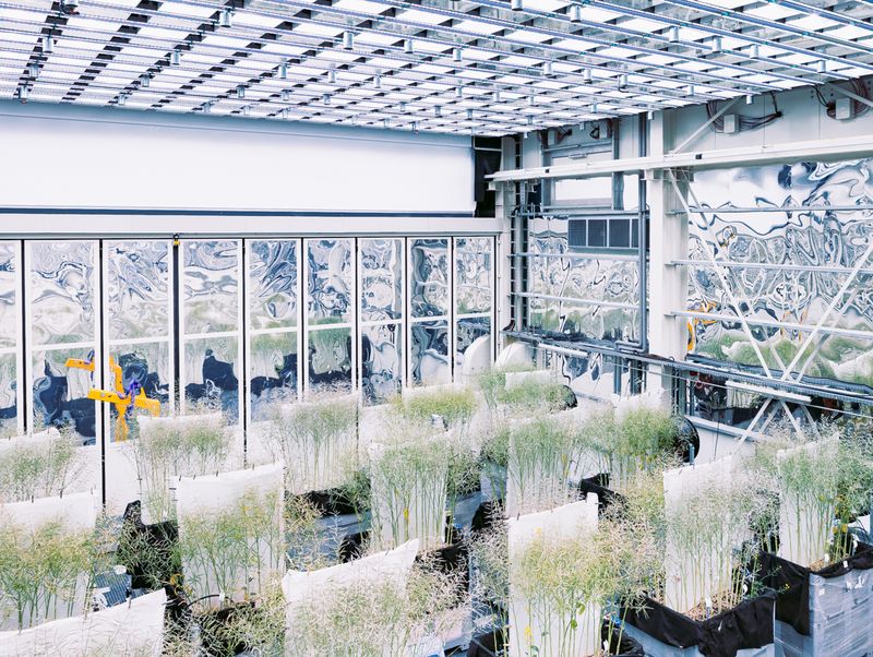 Ole Witt Introduces Us to European Future-like Spaces Researching the Production of Food