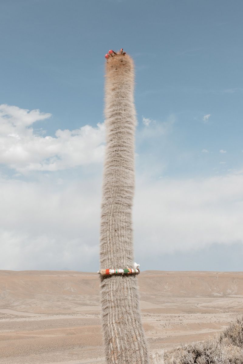 A Fantastic and Decolonized Gaze of Bolivia’s Collective Imagination
