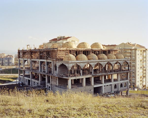 © Norman Behrendt’s Brave New Turkey