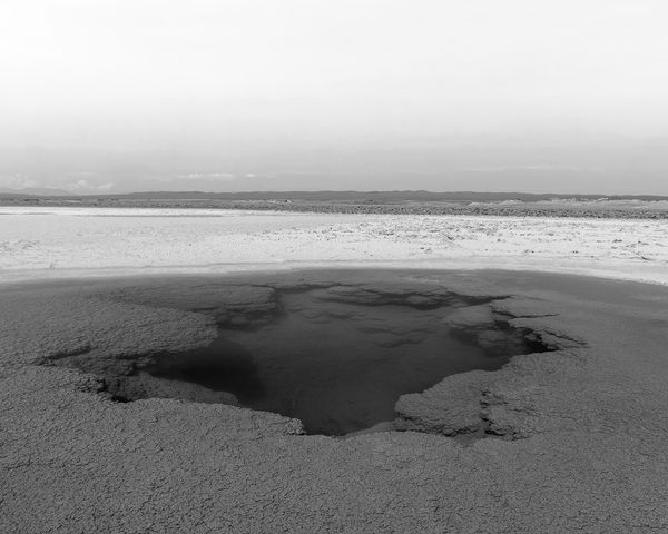 The Poetry of Postural Correction