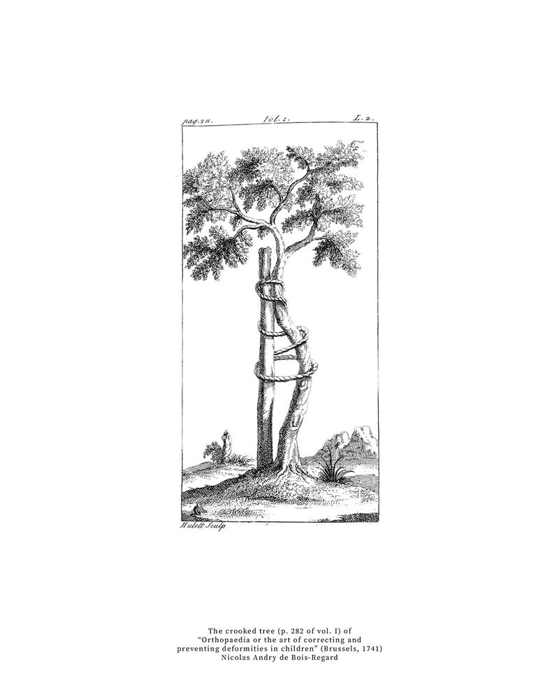 The Poetry of Postural Correction