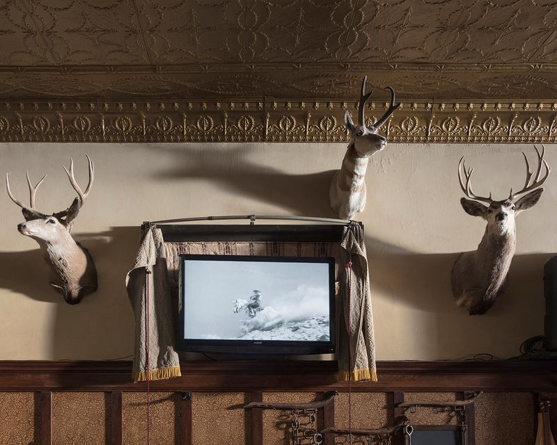An Inheritance of Visual Memories in the United States