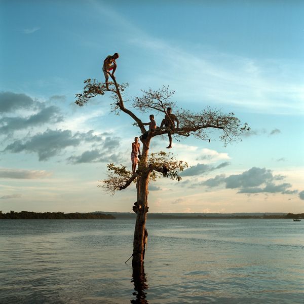 © Aaron Vincent Elkaim