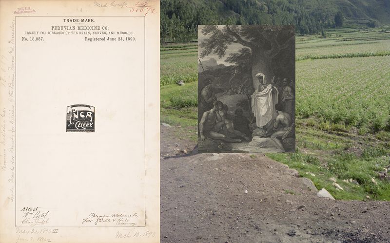 Peruvian Artist Claudia Ruiz Gustafson Investigates the Meaning of Exploration
