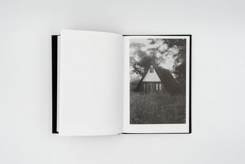 © Allan Salas, The Rooted Heart Began To Change, Published by Witty Books, 2021/2022 Alumni