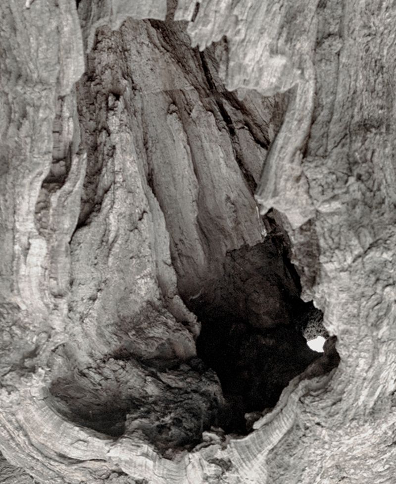 Photographic Digression Inspired by Turquoise Gemstones