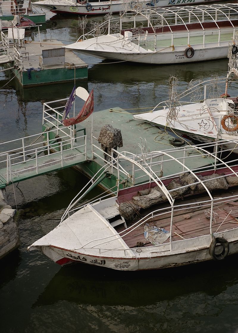 A Collective Healing of the Emotional and Psychological Traumas of Social Distancing