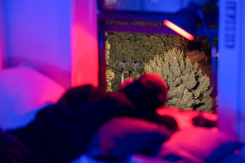 from Neuromantic © Ana Vallejo