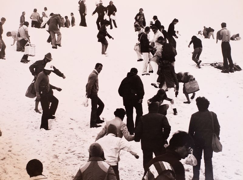 A Meditation on Humanity's Impact on the Destiny of our Planet
