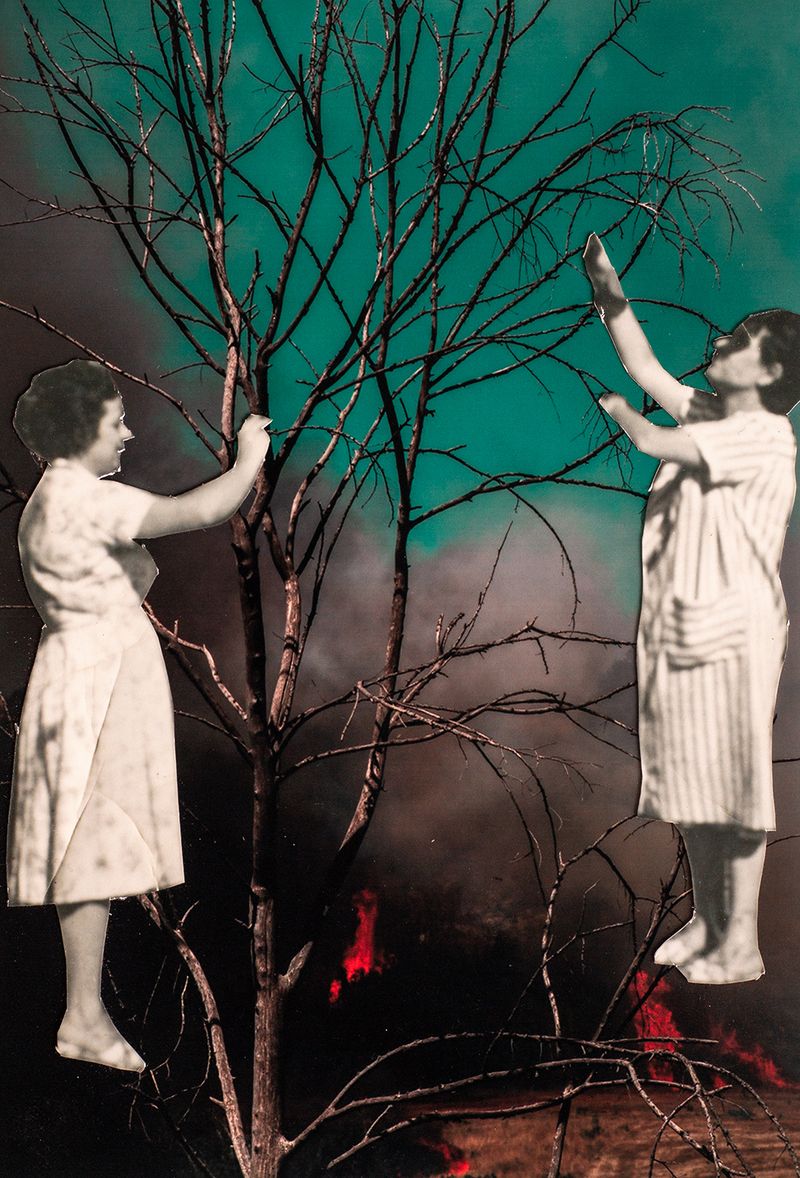 A Meditation on Humanity's Impact on the Destiny of our Planet