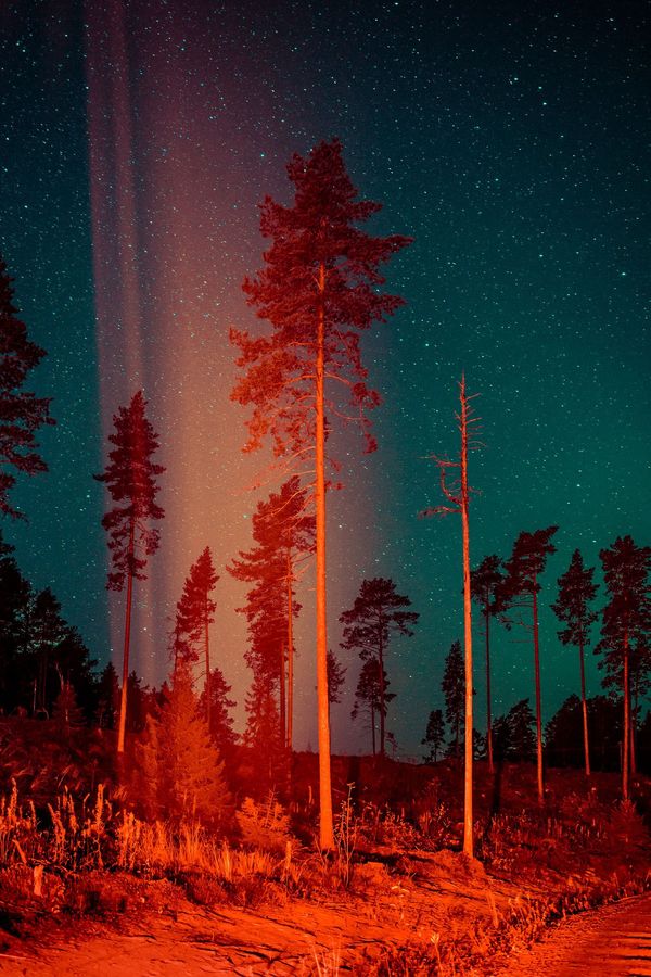 Some Kind Of Heavenly Fire © Maria Lax
