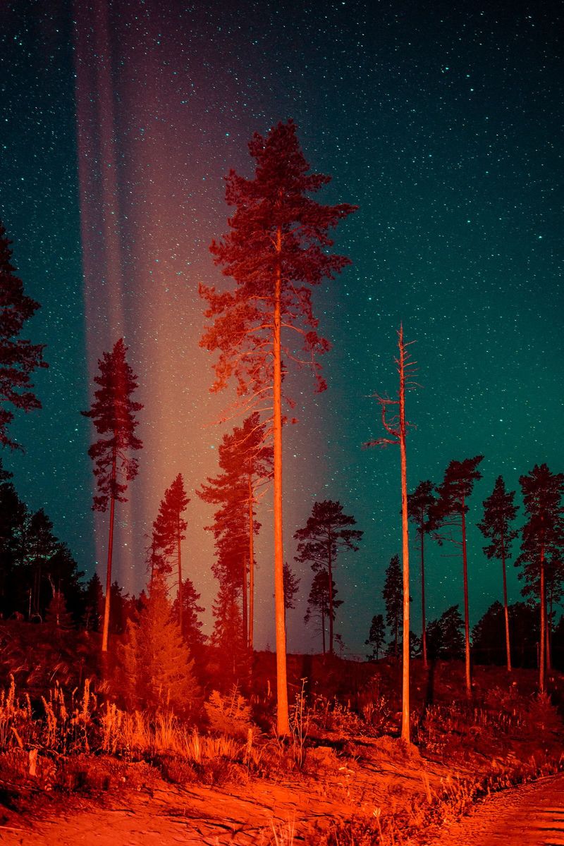 Some Kind Of Heavenly Fire © Maria Lax