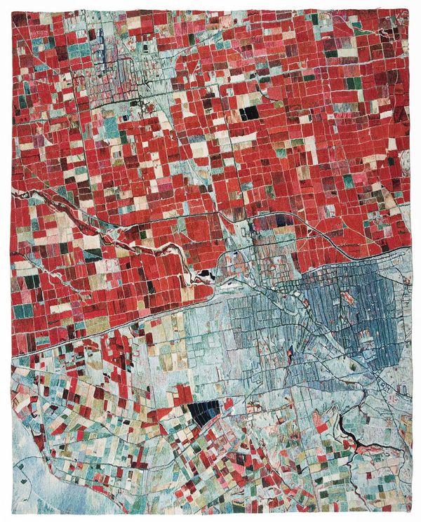 X-ray Vision Vs. Invisibility, 2020 1st Prize Winner © Noelle Mason