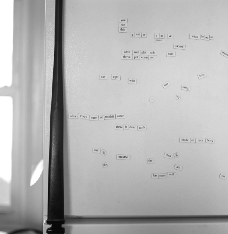 Grace, Inevitability, and the Course of Life Through Family Memories