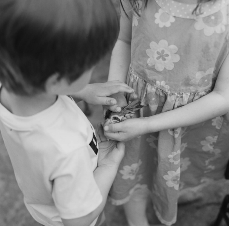 Grace, Inevitability, and the Course of Life Through Family Memories