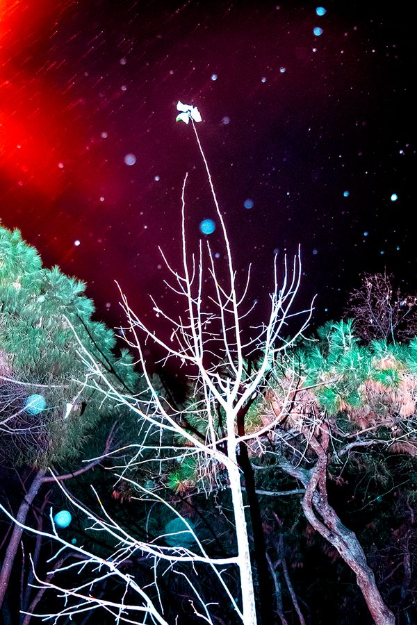 Children of the State: Mental Illness in Turkish Adolescents