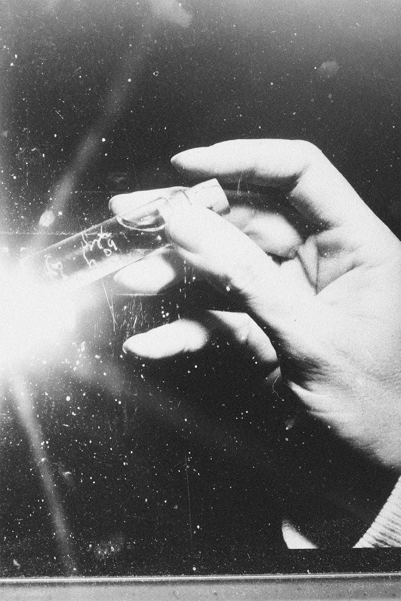 A Reflection on the Fragility of the Human Experience