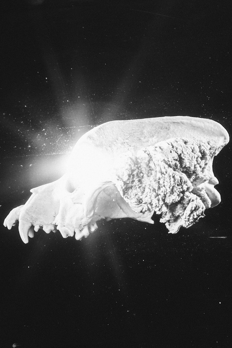 A Reflection on the Fragility of the Human Experience