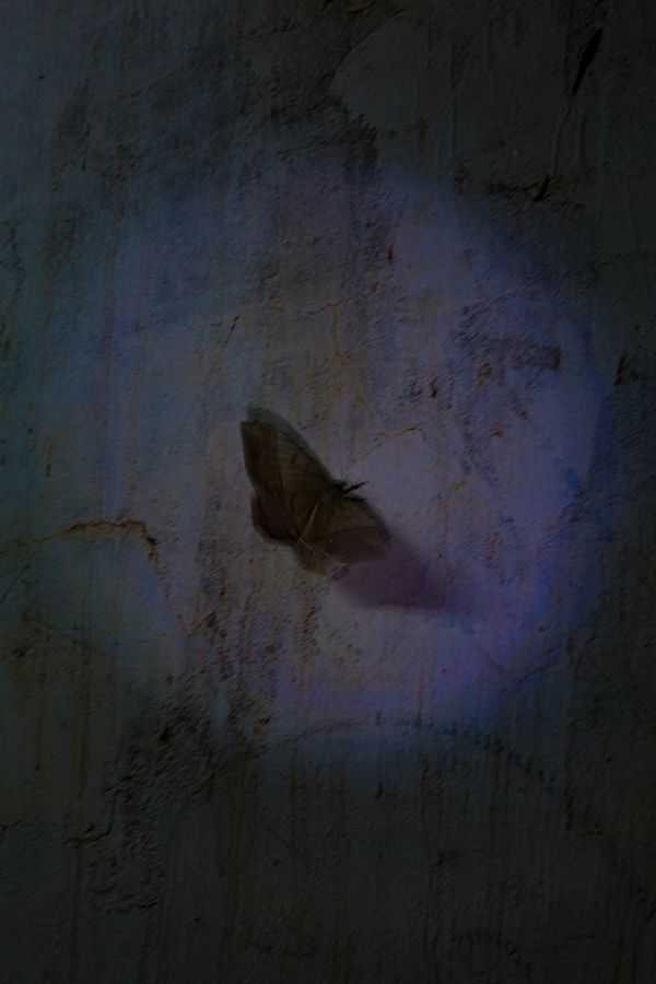 Coming of Age Symbolism in Rural Bolivia​