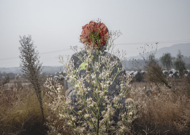 The Apparent Resilience of Nature Against Time