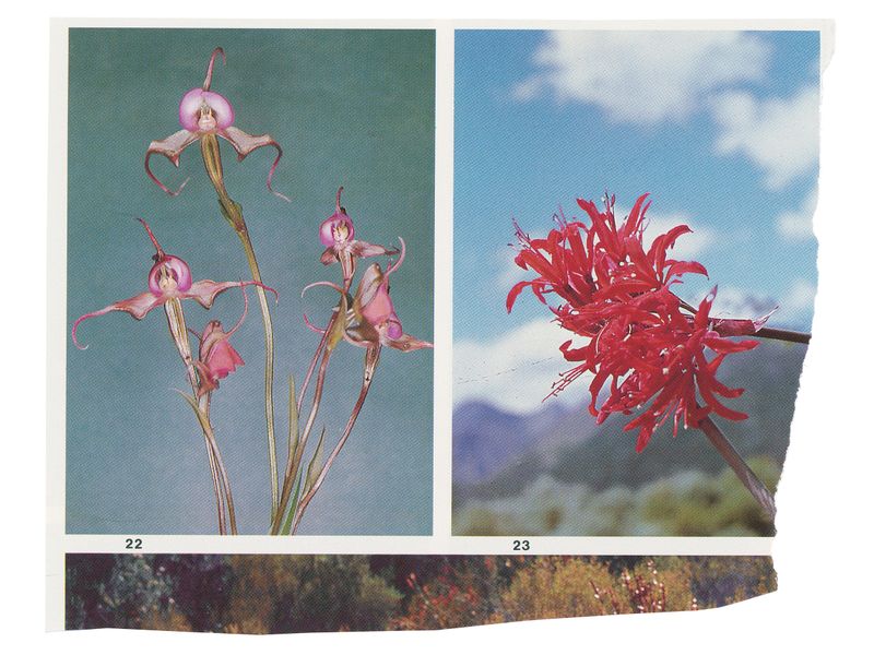 from Good Hope © Carla Liesching