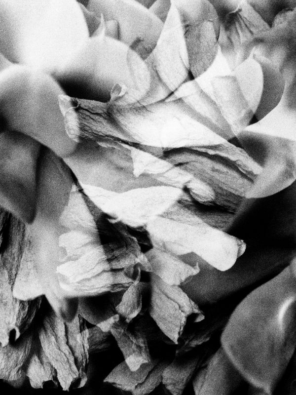 Edward Nurton Takes Us on a Journey Through the Human Experience Between Clarity and Abstraction