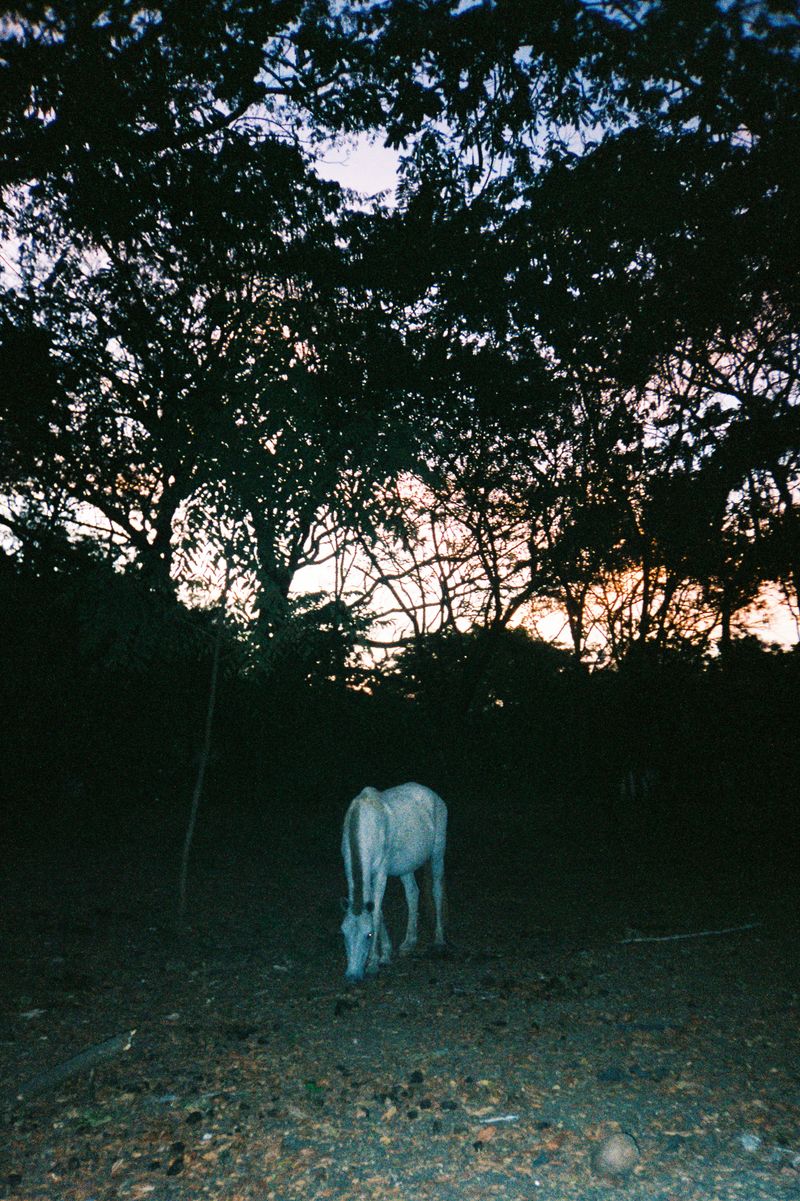 © Rebecca H. Gomis, Folio 2022/23 Alumni