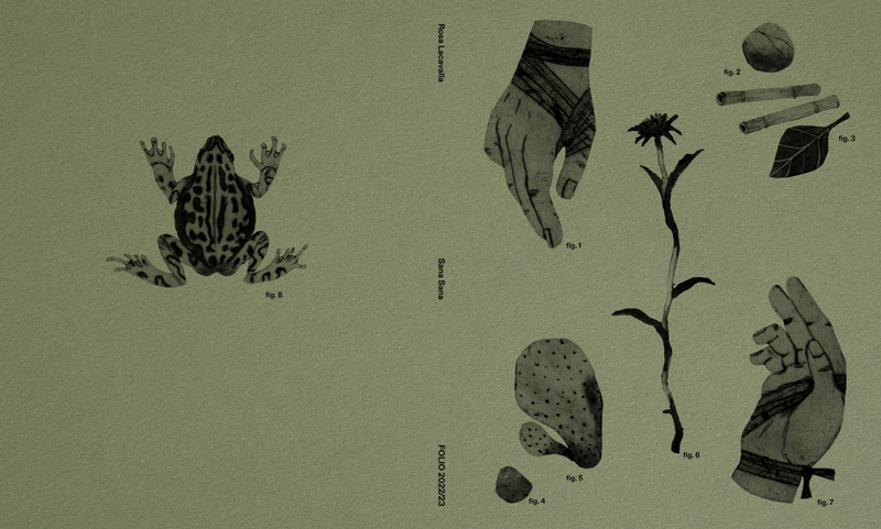 Dummy book cover detail © Rosa Lacavalla, Folio 2022/23 Alumni