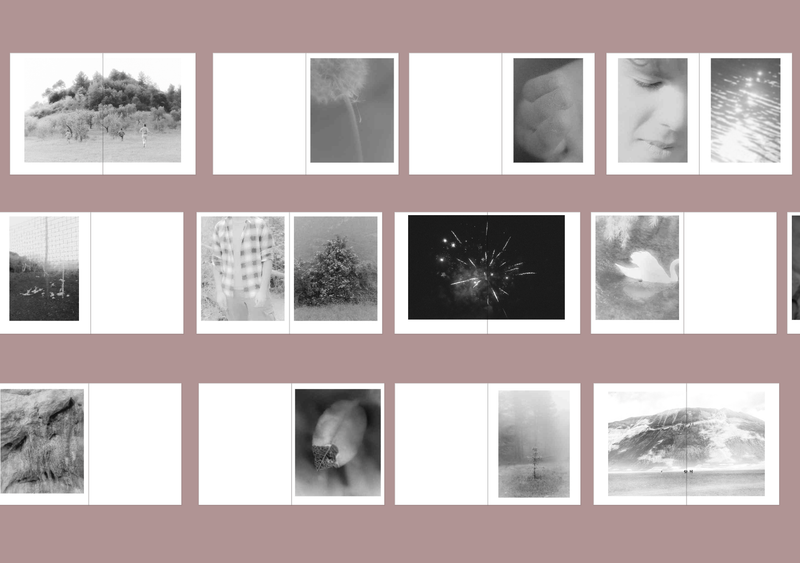 Sequence detail © Cinzia Laliscia, Folio 2022/23 Alumni