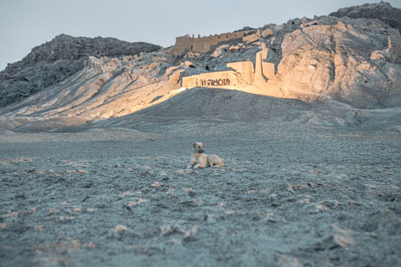 The Untold Story of Iran's Water Crisis