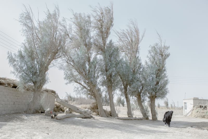 The Untold Story of Iran's Water Crisis