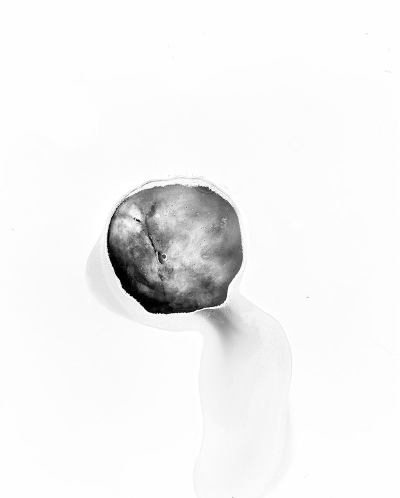 Revisiting Familiar History through Unexpected Panoramas