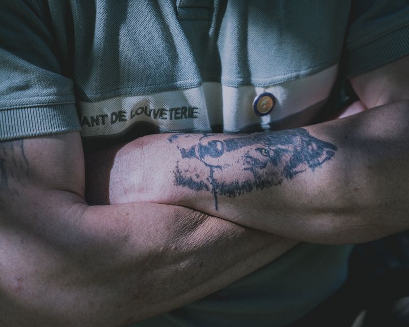 Following the Trail of Wolves in the French Alps