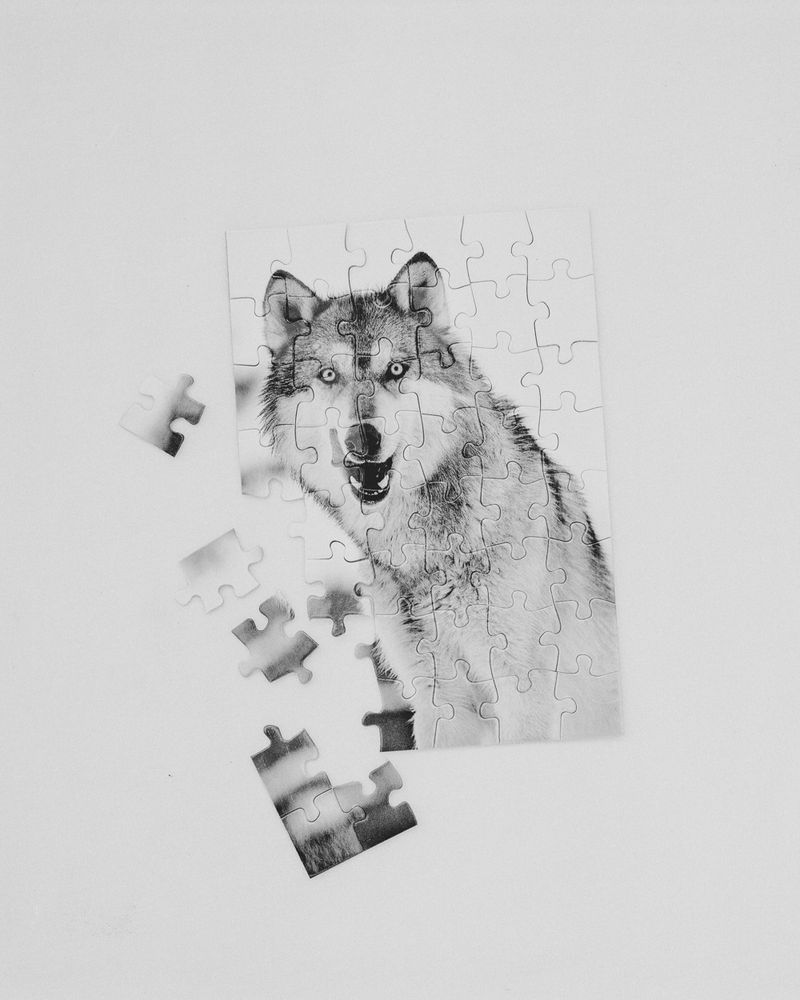 Following the Trail of Wolves in the French Alps