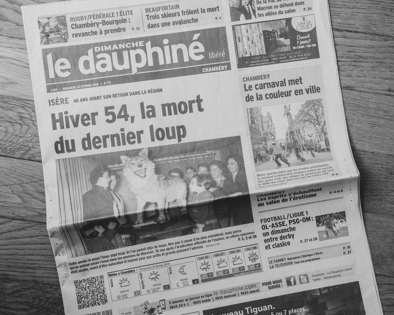 Following the Trail of Wolves in the French Alps