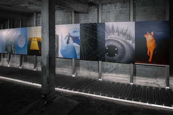 Protege Noctem by Mattia Balsamini, Getxophoto 2023