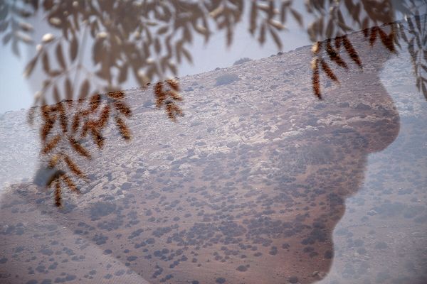From I'll Die For You © Laura El-Tantawy, Co-Tutor of Criticae - Online Documentary Photography Masterclass