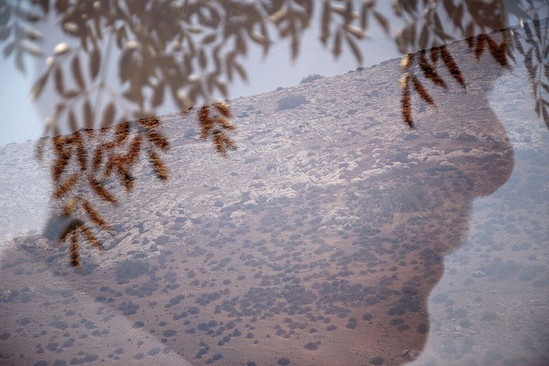 From I'll Die For You © Laura El-Tantawy, Co-Tutor of Criticae - Online Documentary Photography Masterclass
