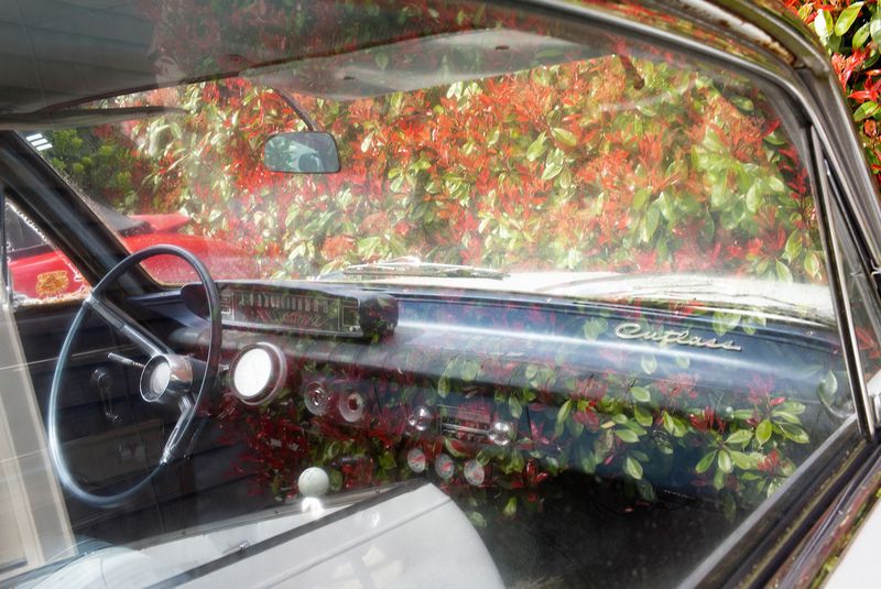 Redefining Gender Stereotypes in Contemporary America