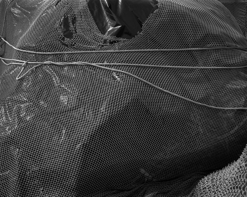 © Chelsea Mosher, from her project A Slip & In-Between, 2019.