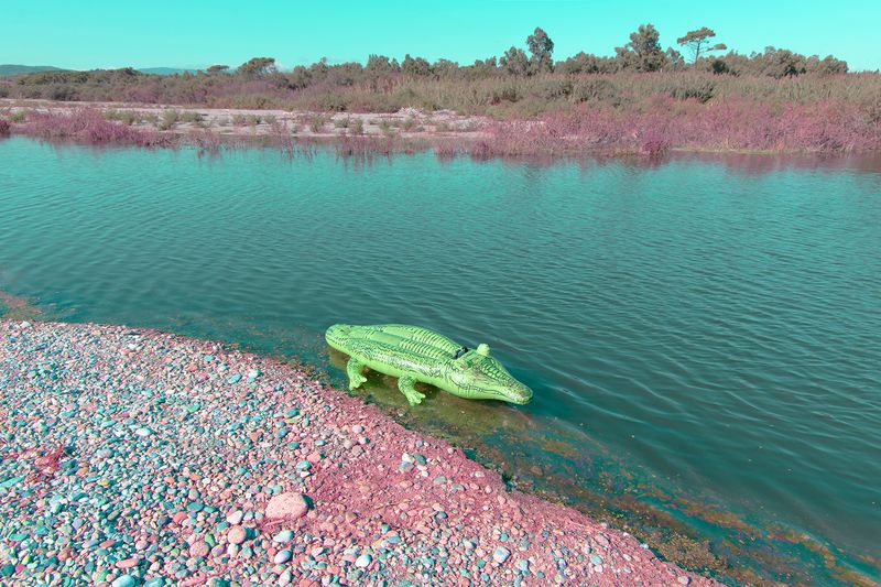 On the Genesis of Contemporary Myths