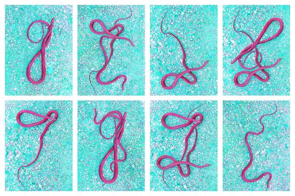 On the Genesis of Contemporary Myths