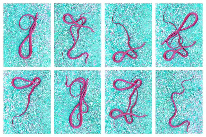 On the Genesis of Contemporary Myths