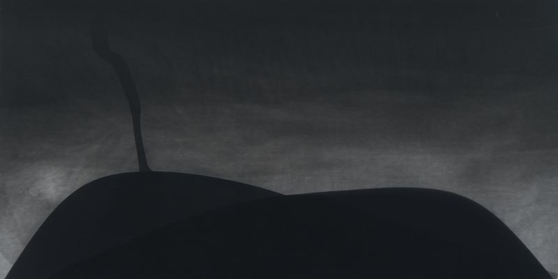 The Darkroom Project